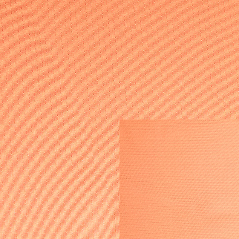 Polyester Spandex Mesh Fabric  WPS312
