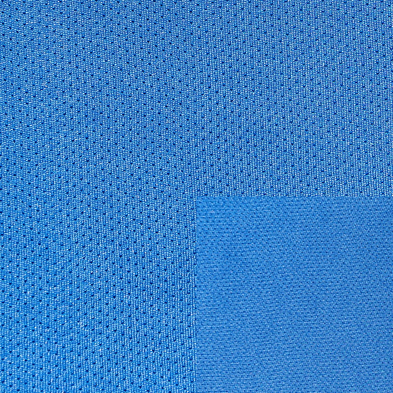  Polyester Mesh Fabric  WP229