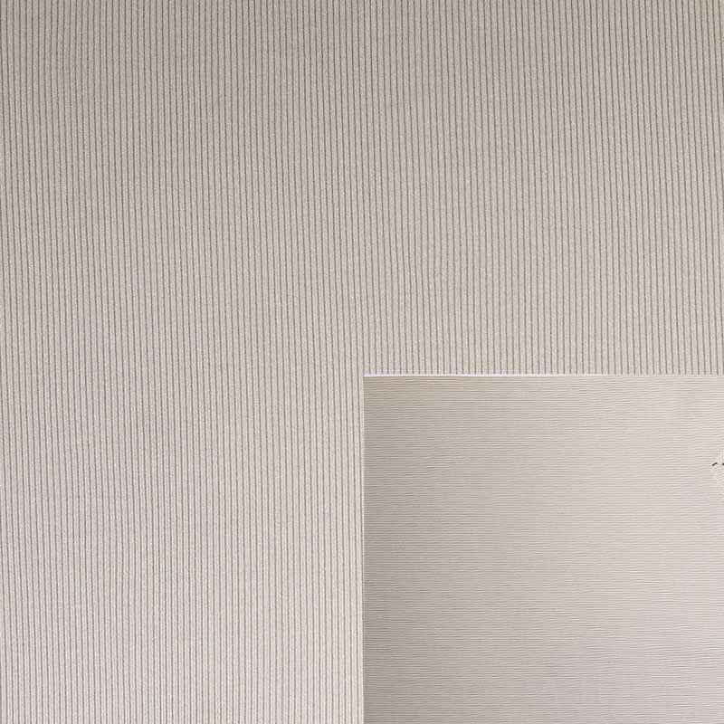 2*1 Nylon Spandex Rib Fabric WNS172