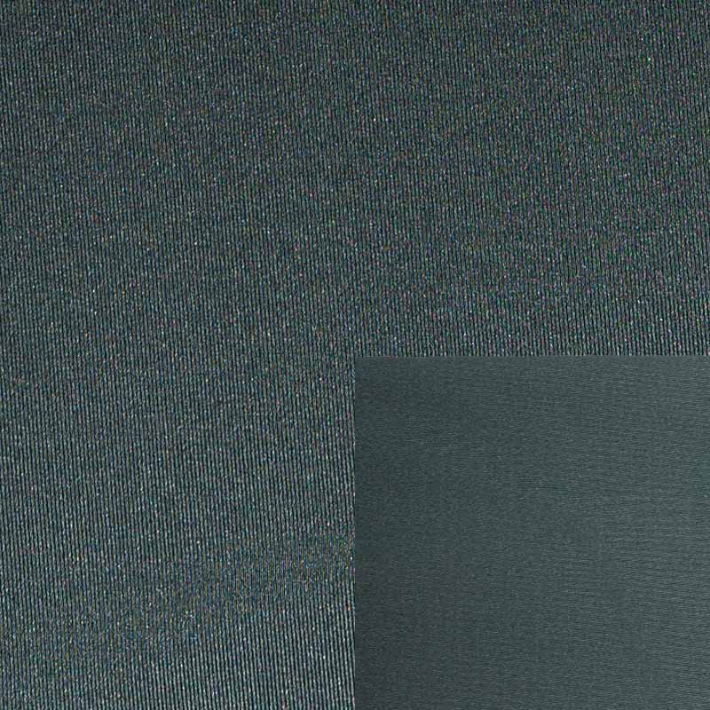 Nylon Spandex Interlock Fabric WNS189