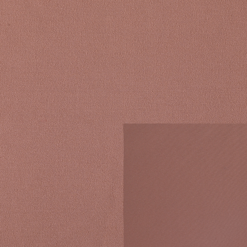 Nylon Spandex Sueded Interlock Fabric WNS226