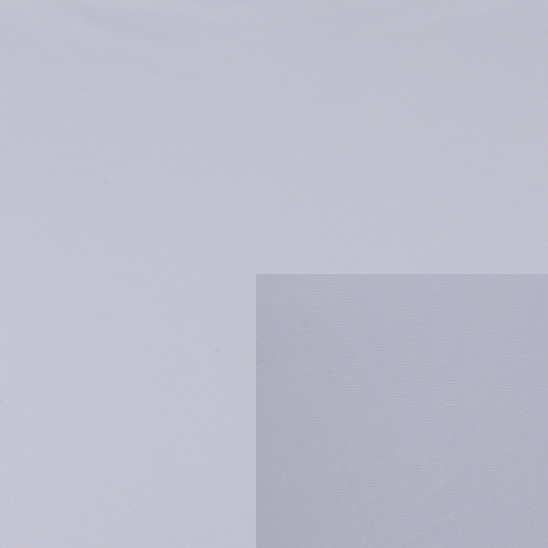 50D Polyester Interlock Fabric WP203
